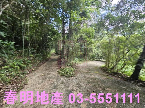 新竹橫山農地-4