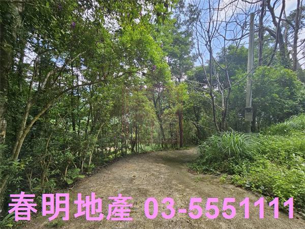 新竹橫山農地-5