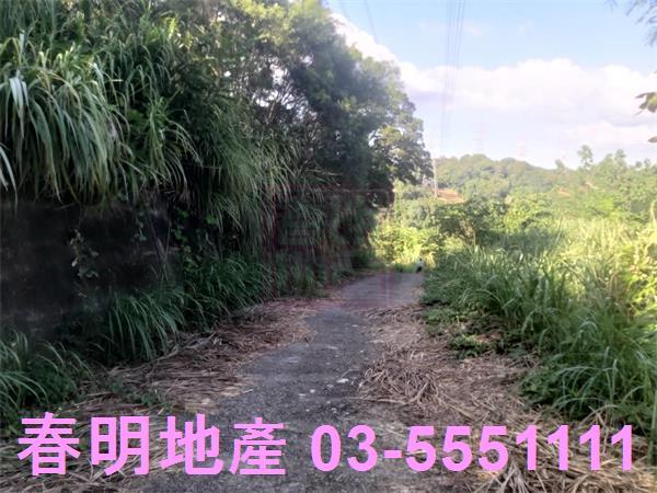 新竹寶山農地-10