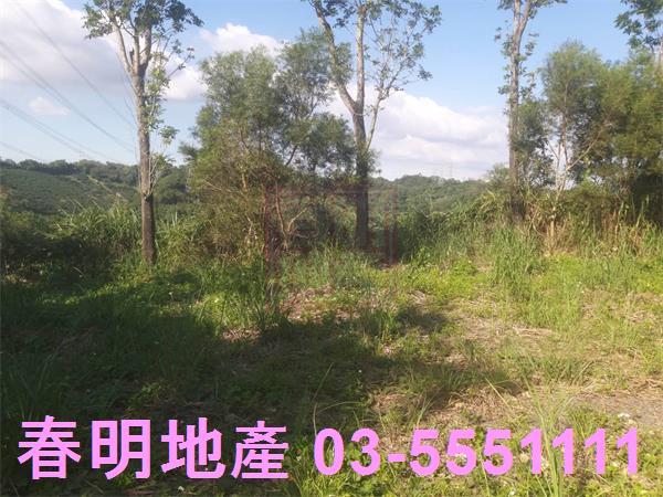 新竹寶山農地-12