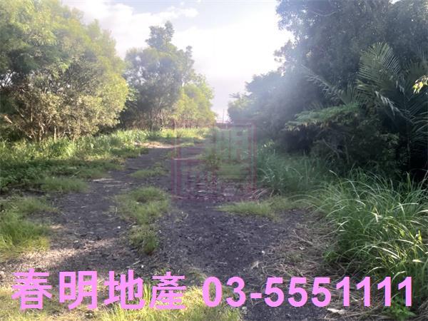 新竹寶山農地-3