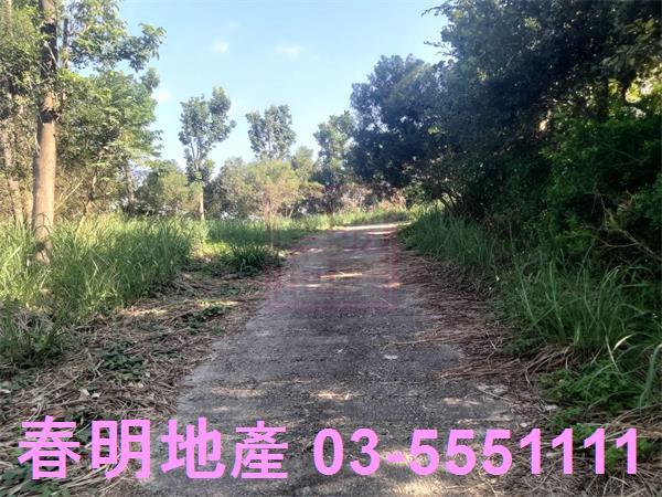 新竹寶山農地-6