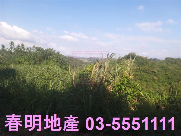 新竹寶山農地-8