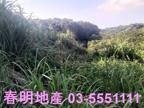 新竹寶山農地-9