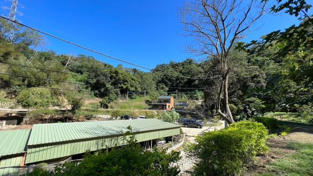 寶山林地-12