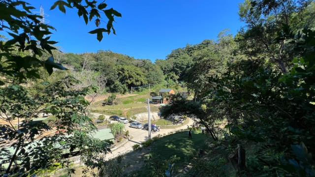 寶山林地-1