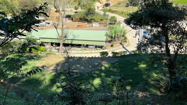 寶山林地-2