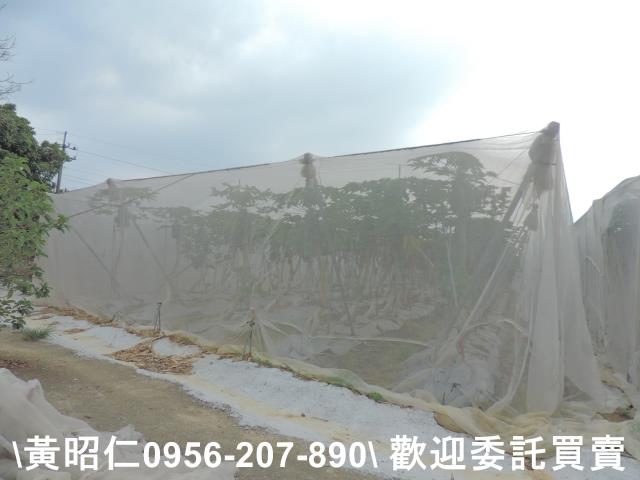 台南農地-2