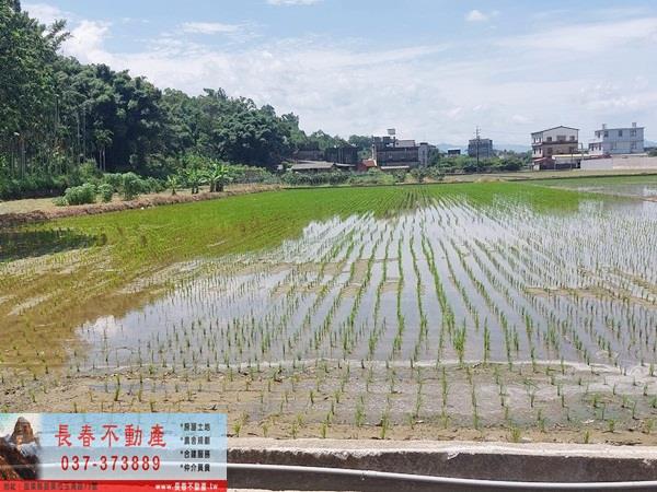 苗栗頭屋農地-1