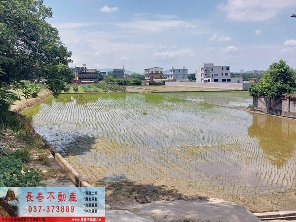 苗栗頭屋農地-2