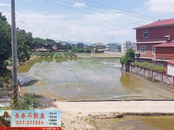 苗栗頭屋農地-4