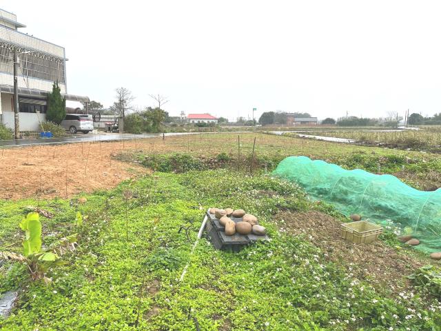 桃園新屋農地-10