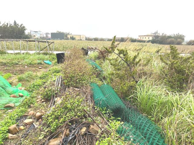 桃園新屋農地-11