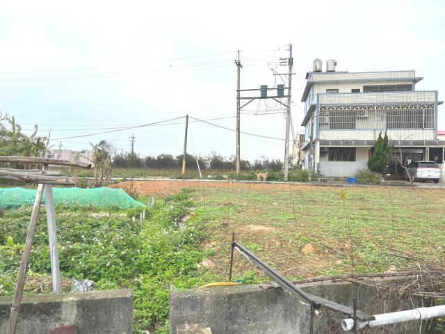 桃園新屋農地-13