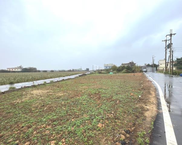 桃園新屋農地-1