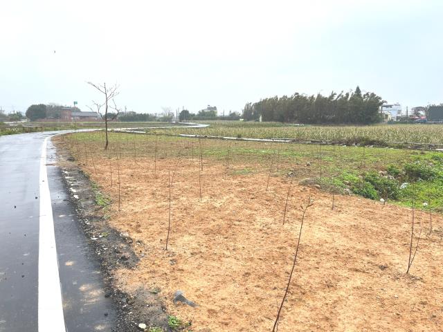 桃園新屋農地-9