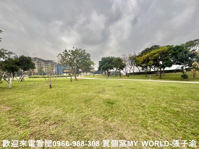 桃園建地-8