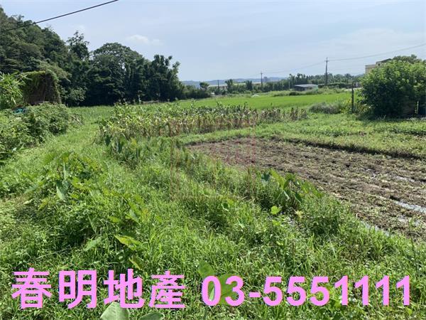 新竹新埔農地-10