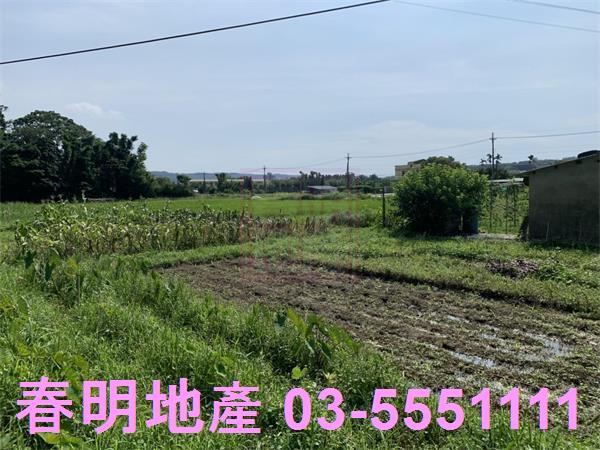 新竹新埔農地-12