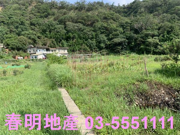 新竹新埔農地-1