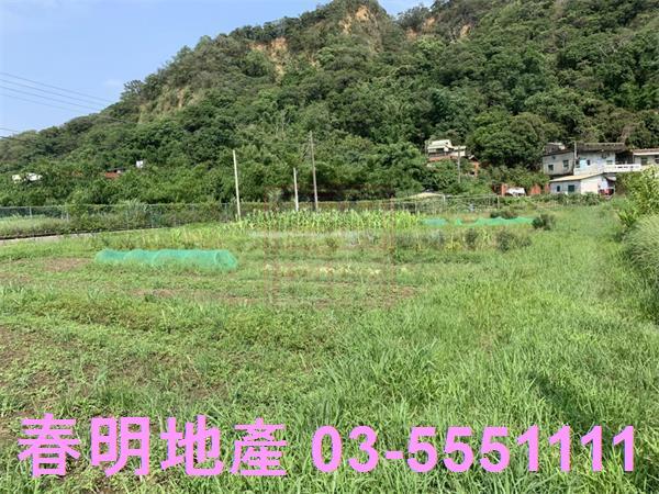 新竹新埔農地-2