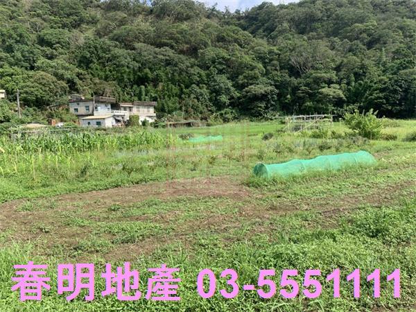 新竹新埔農地-5