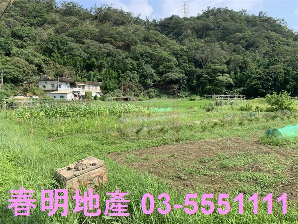 新竹新埔農地-6