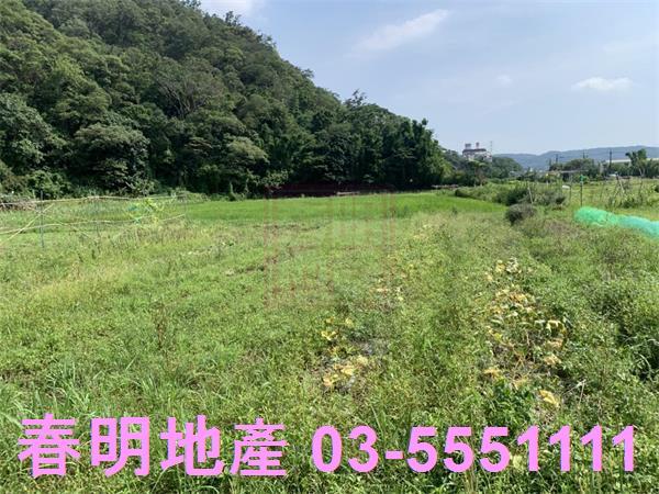 新竹新埔農地-7
