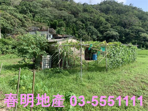 新竹新埔農地-8