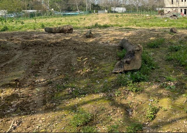 桃園大溪工業地-2