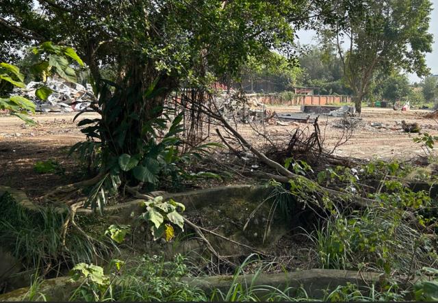 桃園大溪工業地-3