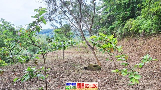 新竹竹東農地-2