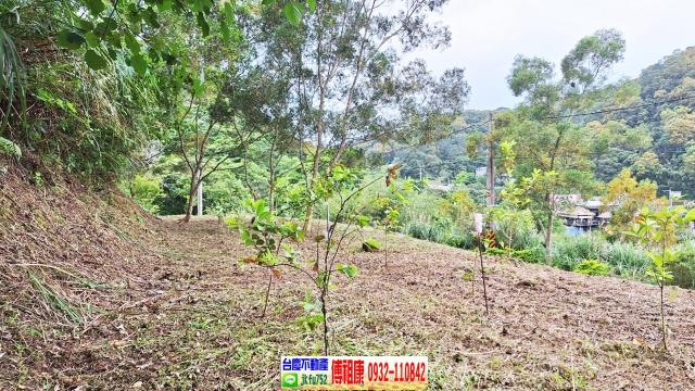 新竹竹東農地-4