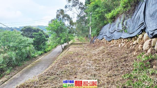 新竹竹東農地-7