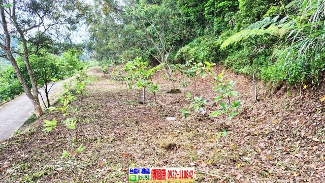 新竹竹東農地-2