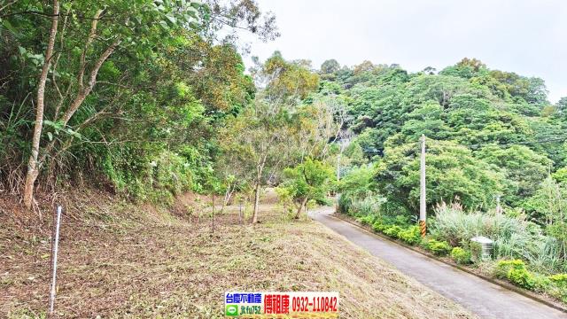 新竹竹東農地-5