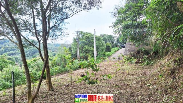 新竹竹東農地-6