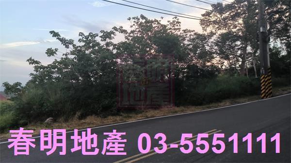 新竹香山林地-2