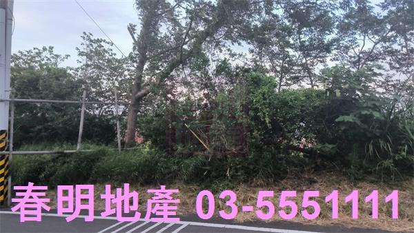 新竹香山林地-4