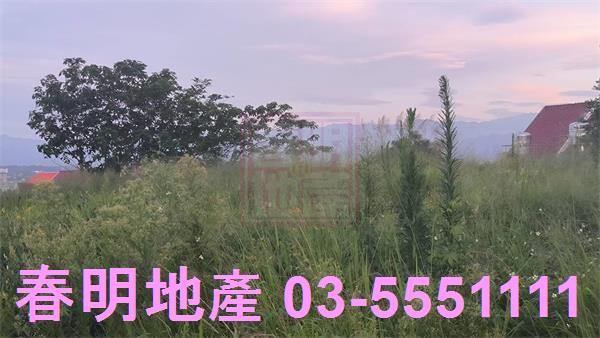 新竹香山林地-6