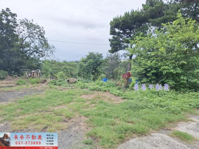 苗栗苗栗市建地-5