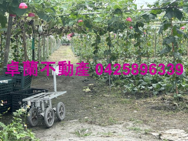 苗栗卓蘭農地-1