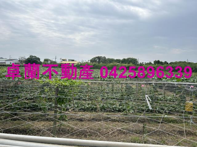 苗栗卓蘭農地-4