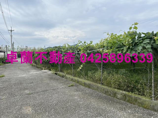 苗栗卓蘭農地-7