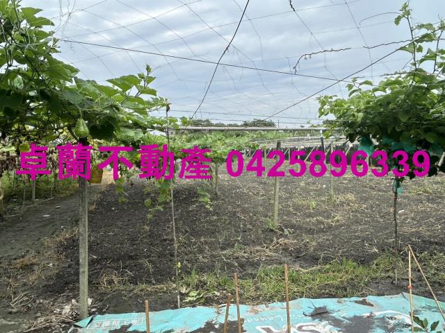 苗栗卓蘭農地-8