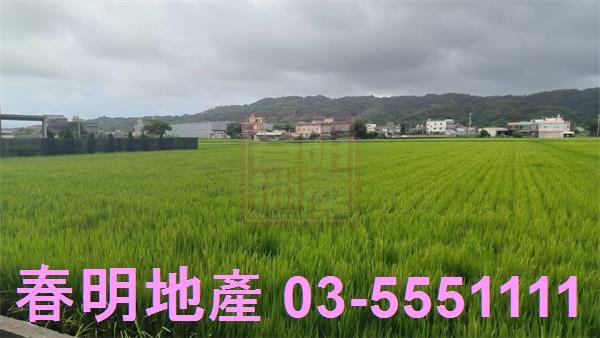 竹北農地-5