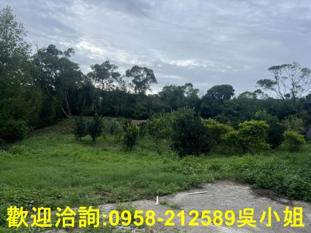 新竹新埔山坡地-8