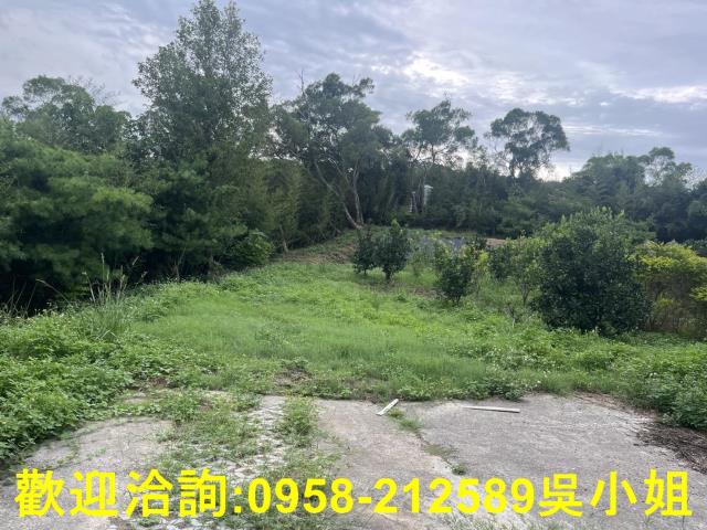 新竹新埔山坡地-9