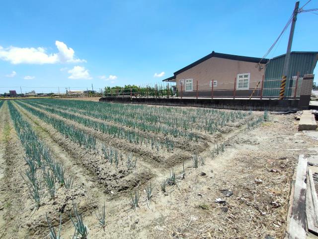埔鹽農地-3