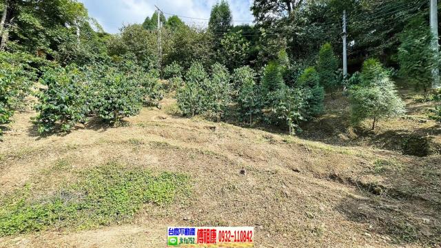 橫山林地-11